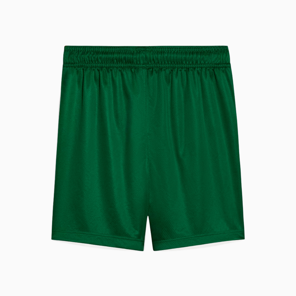 Shorts Palmeiras 2025 II – Fan Version