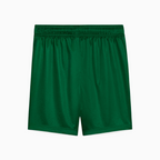 Shorts Palmeiras 2025 II – Fan Version