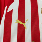 2026/27 Chivas Jersey - Fan Version