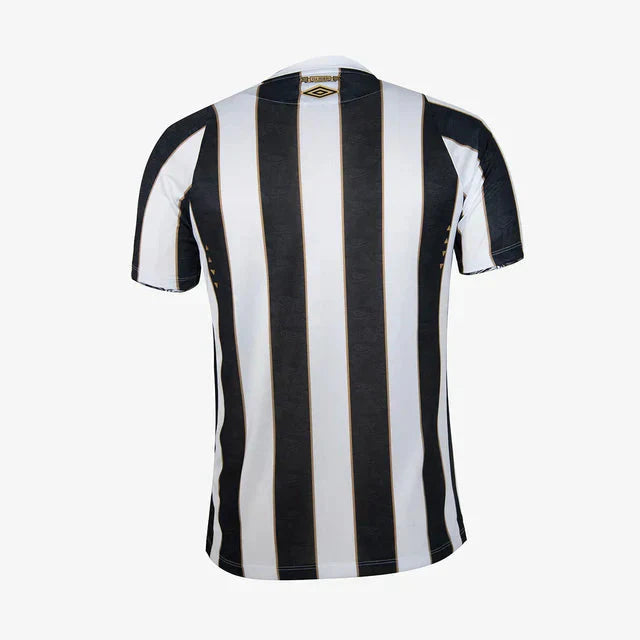 Jersey Men's Santos 2024/25 II Fan Version