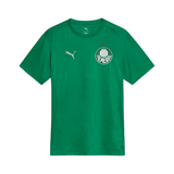 Jersey Palmeiras 25/26 Training verde