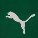 Palmeiras Home Fan Jersey 2025/26